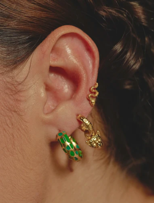 Camouflaged Earparty