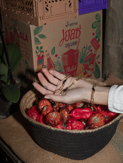 Toucans All Around Bracelet