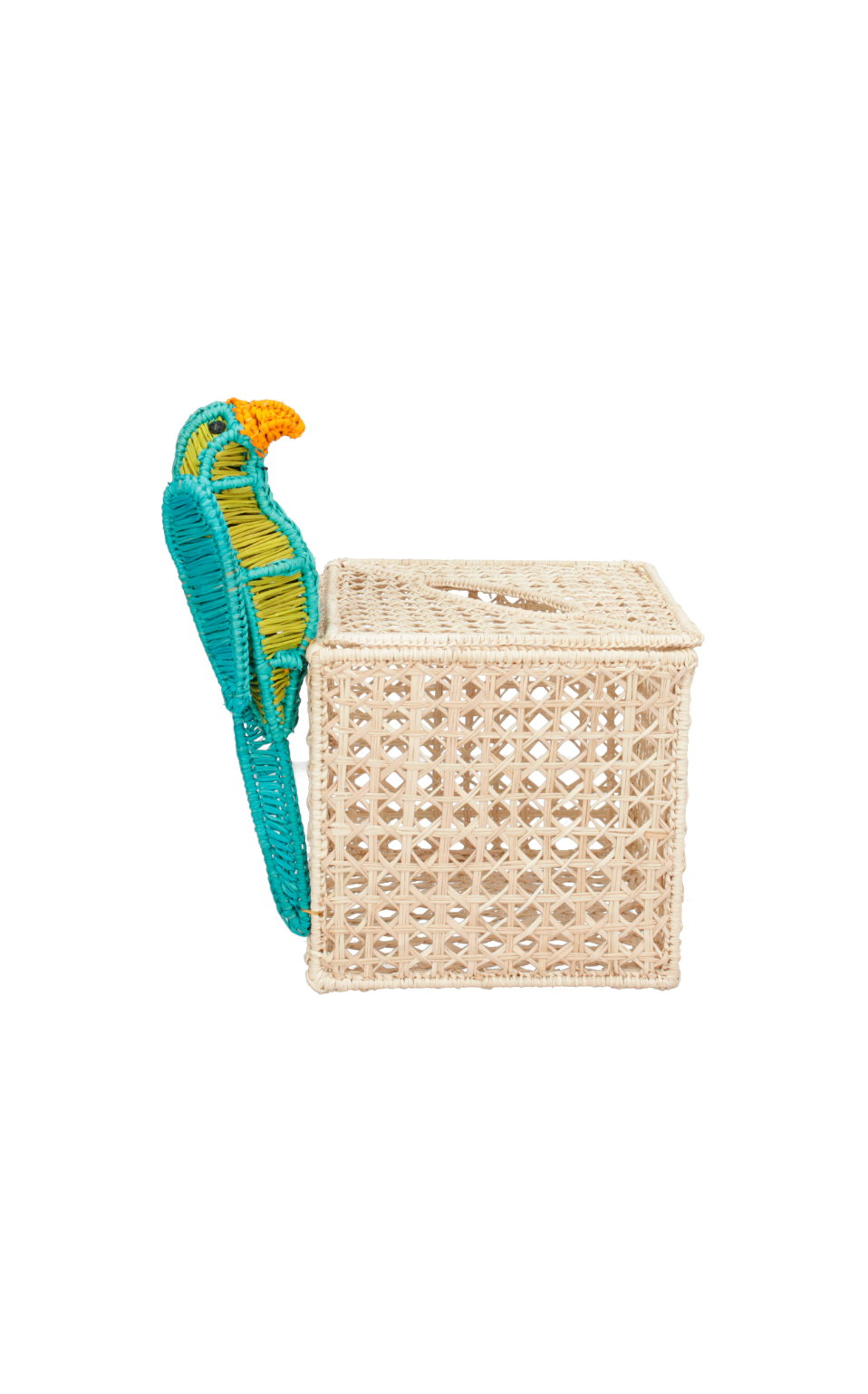 Parrot Box