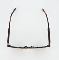 James Tortoise Sunglasses