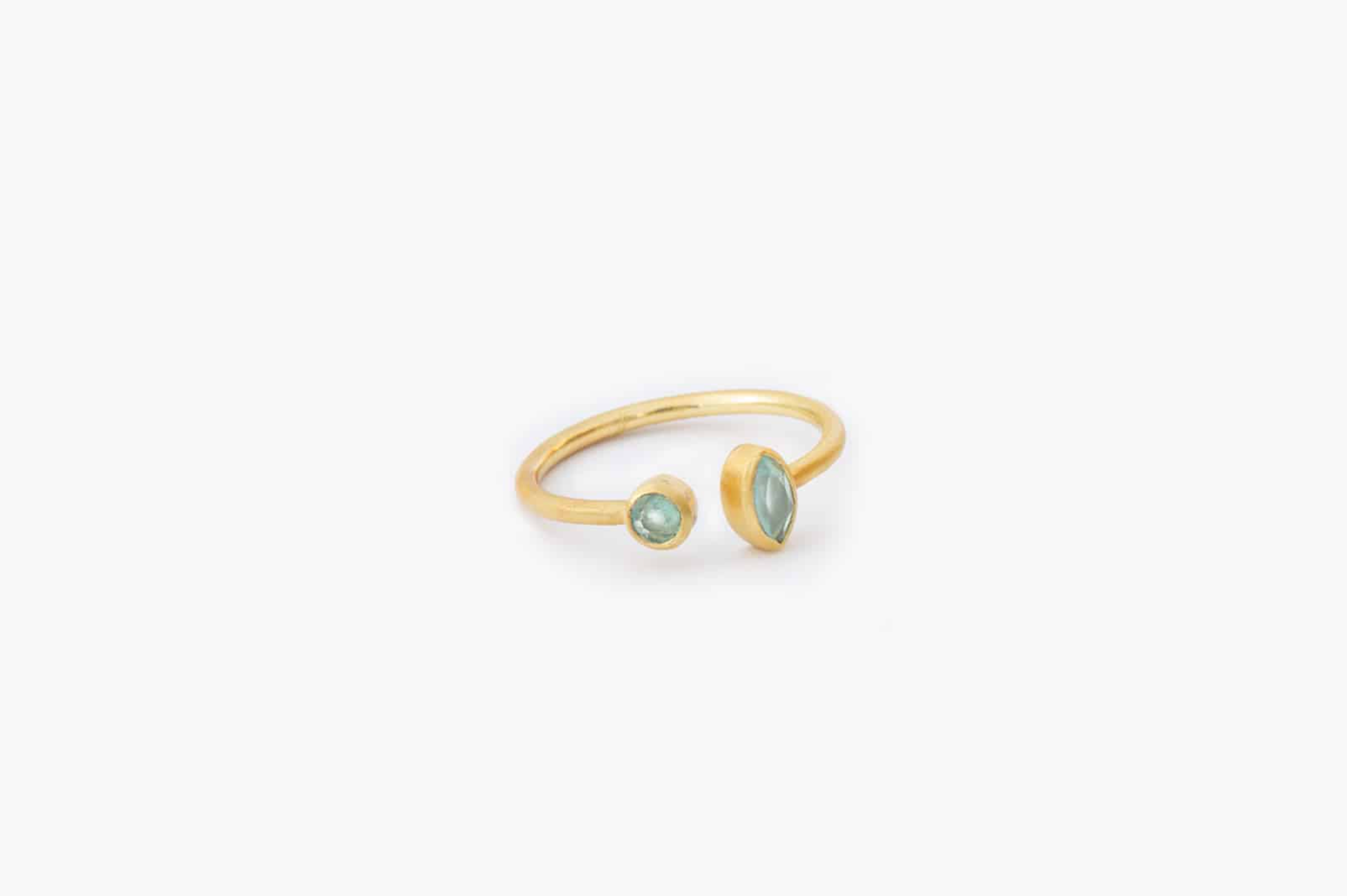 Alpes Ring