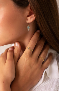 Alpes Ring