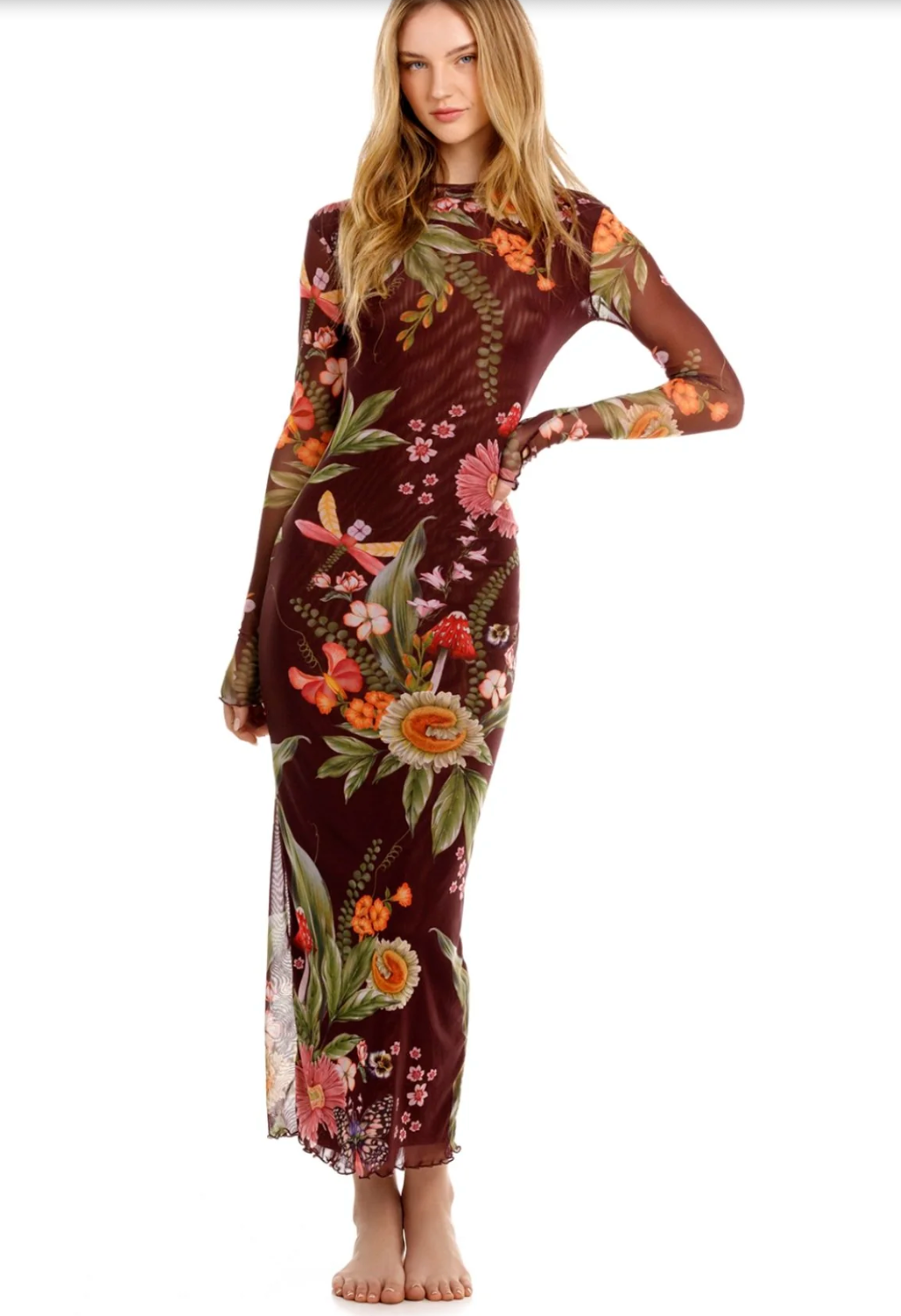 Robin Ambar Dress