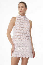 Desire Pink Skirt