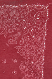 Scarf Sauvingnon