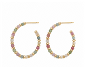 Vera Multicolor Earrings