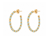 Vera Amazonita Earrings