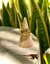 AN035 Snail Shell Ring Stainless