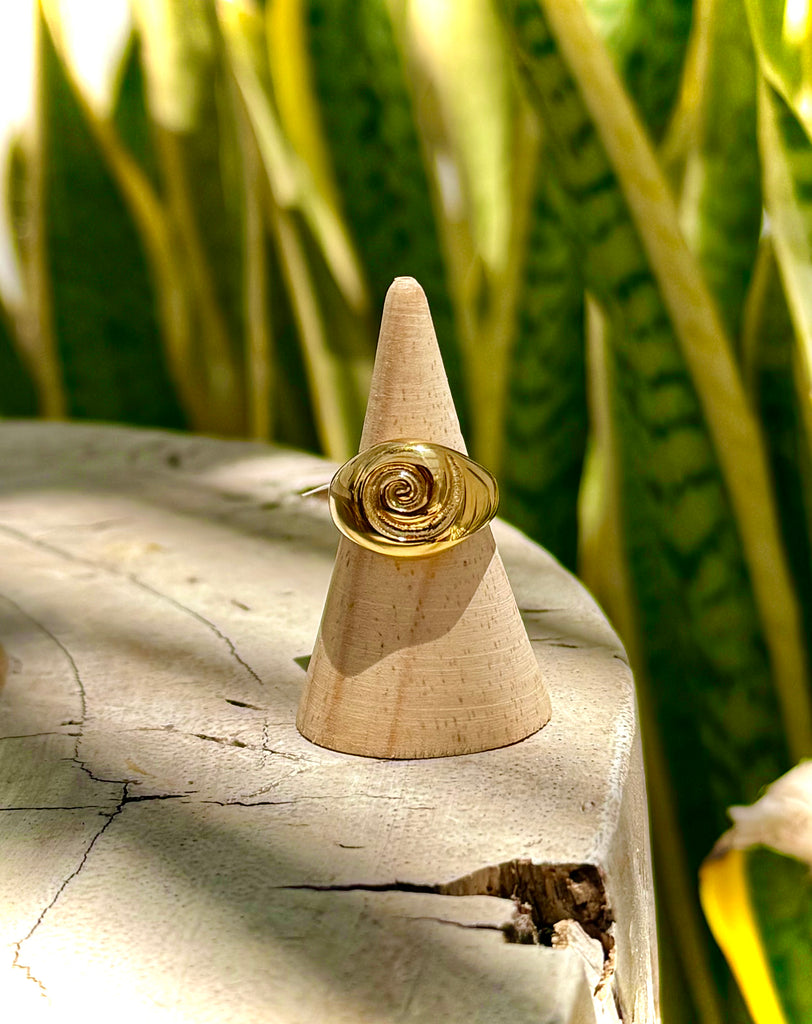 AN035 Snail Shell Ring Stainless