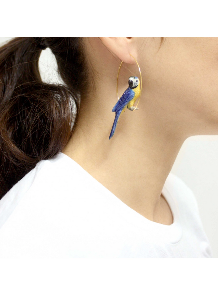 Blue Parrot Earrings