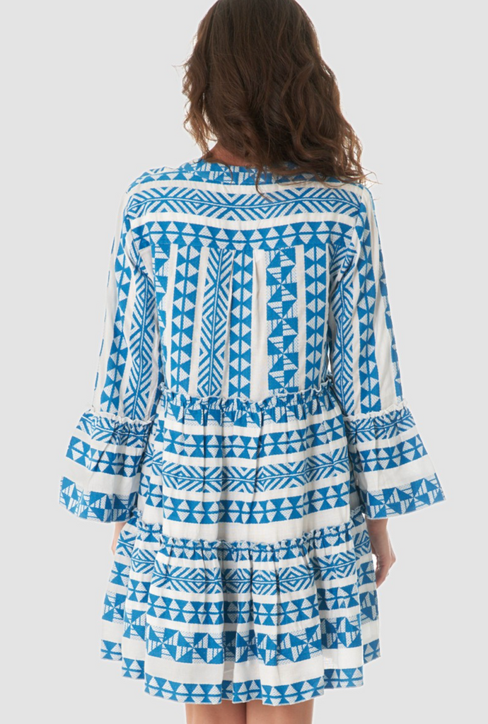 Long Sleeve V-Neck Embroidered Mini Dress