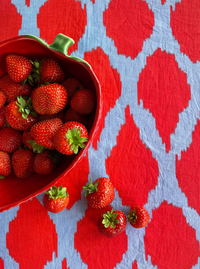 Table Cloth Red Ikat