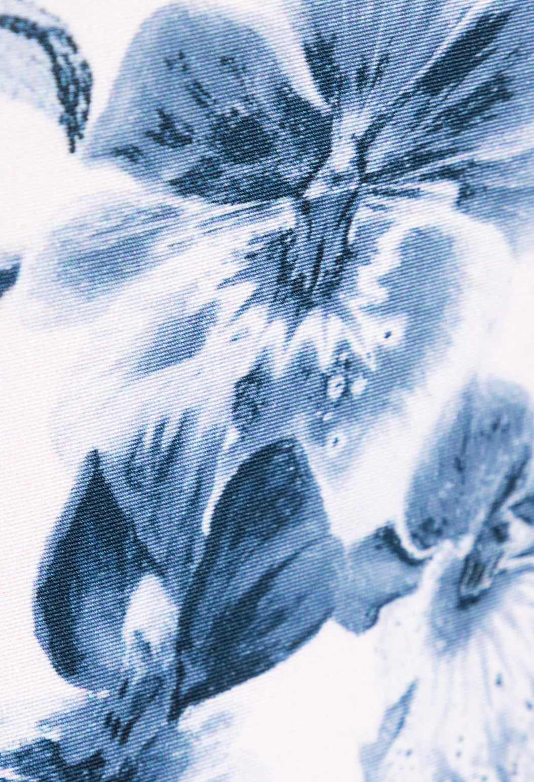 Rabano Petalo One Piece