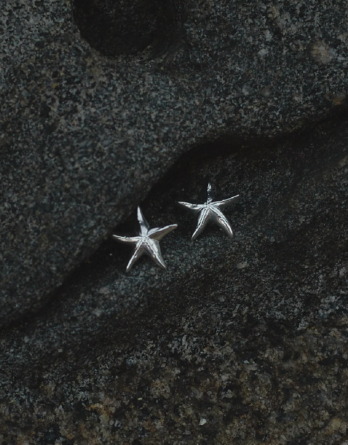 Starfish Silver Earrings