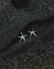 Starfish Silver Earrings