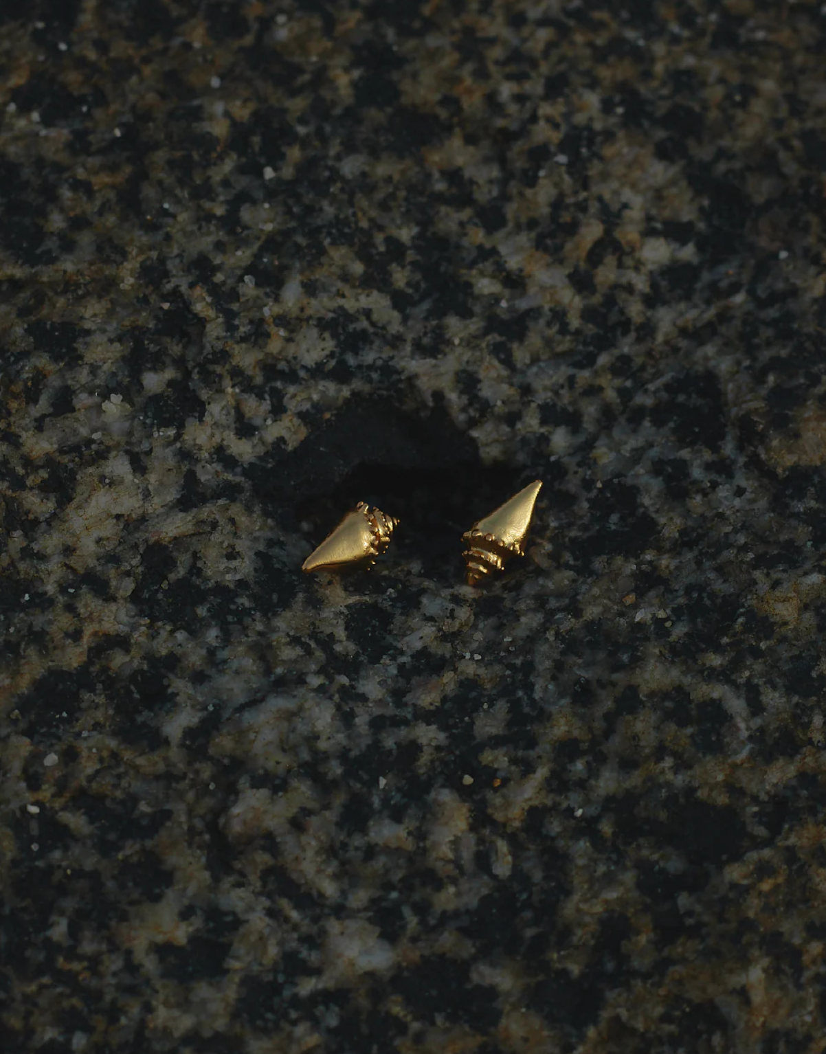 Caracola Set Necklace And Earrings