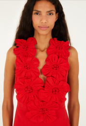 Red Sleeveles Midi Dress