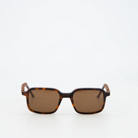 Pierre Havana Sunglasses