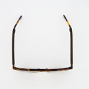 Monza Havana Sunglasses