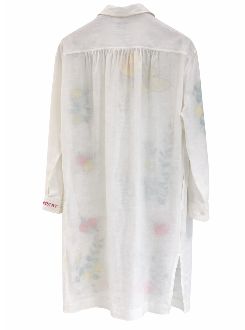 Orange Picking Under The Sun