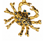 Centolla Coral Necklace
