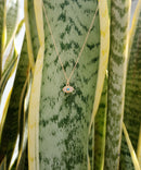 LC042 Blue Evil Eye Necklace