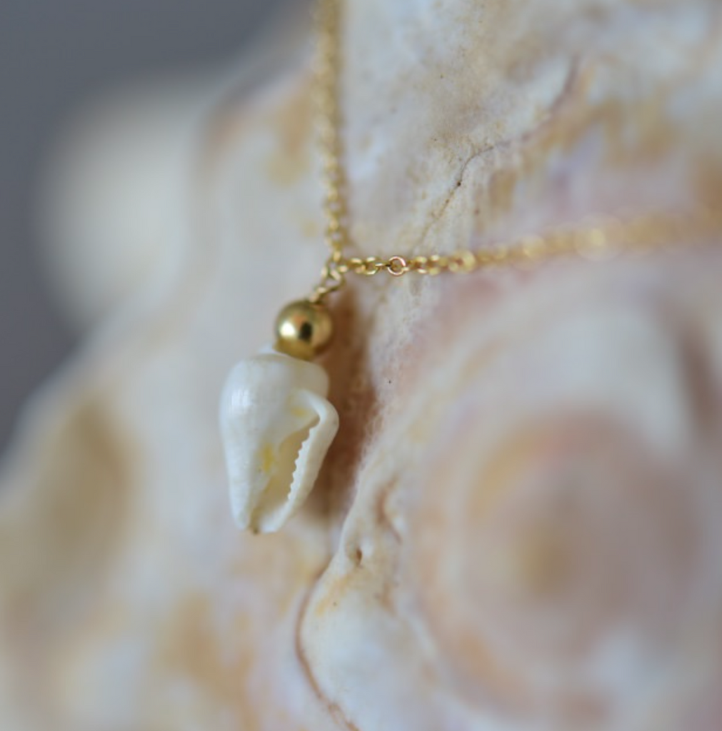 LC001 Natural Snail Necklace