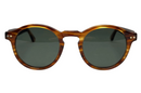 Ace Havana Claro Sunglasses